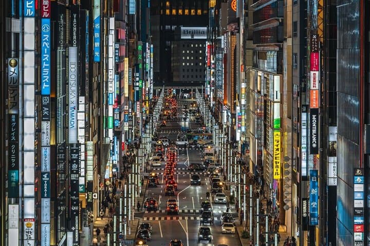 Private Tokyo Tour by Car with Custom Itinerary & English Guide — photo 4