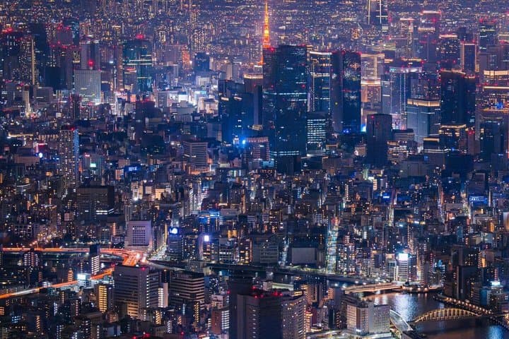 Private Tokyo Tour by Car with Custom Itinerary & English Guide — photo 7