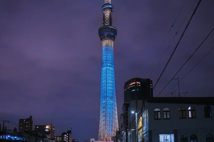 Private Tokyo Tour by Car with Custom Itinerary & English Guide — photo 8