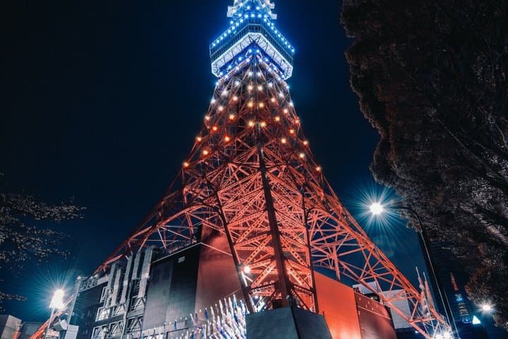 Private Tokyo Tour by Car with Custom Itinerary & English Guide — photo 9