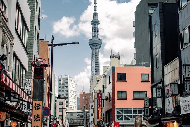 Private Tokyo Tour by Car with Custom Itinerary & English Guide — photo 13