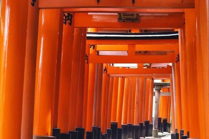 Kyoto and Nara Private 10 Hour Tour from Osaka — photo 17