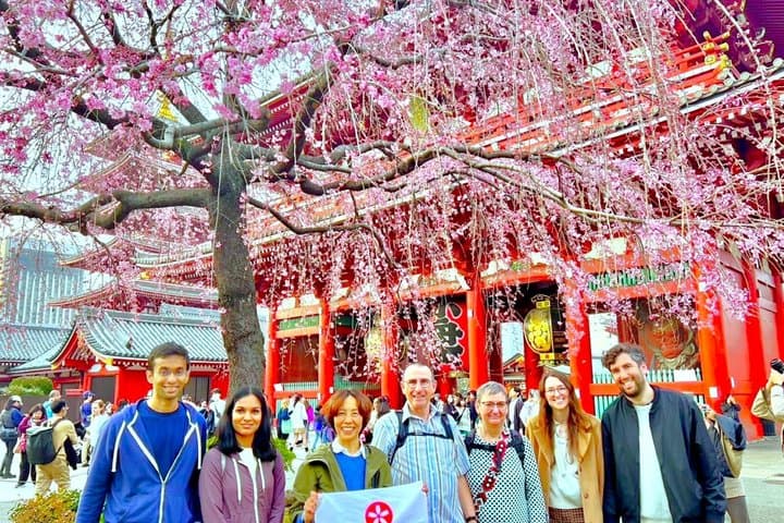 Tokyo Full Course Tour: Explore 15 Must-See Sights & Hidden Gems — photo 2