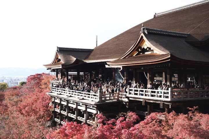 Kyoto Highlights Small Group Minivan Tour from Kyoto Station — photo 7