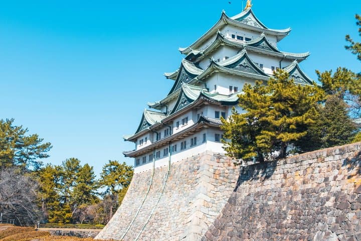 Nagoya Cruise Shore Excursion Explore Castle Shopping and Culture — photo 3