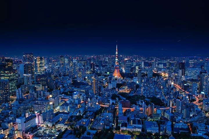 Tokyo: Private Transfer Between Narita Airport & City — photo 7