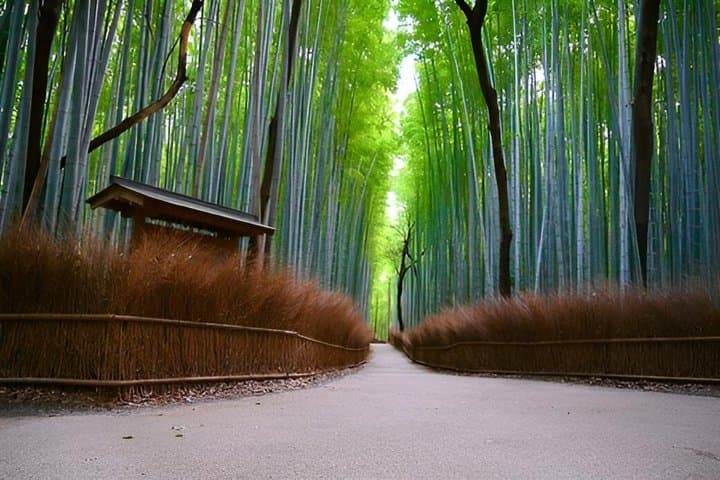 Private Onsen Experience with Kyoto Cuisine & Expert Guide — photo 8