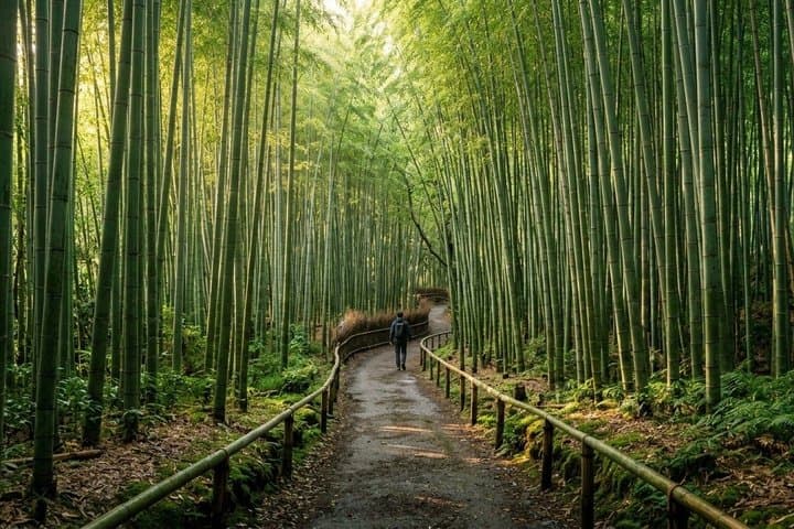 Kyoto Fushimi Inari-taisha Shrine Private Luxury Tour — photo 4