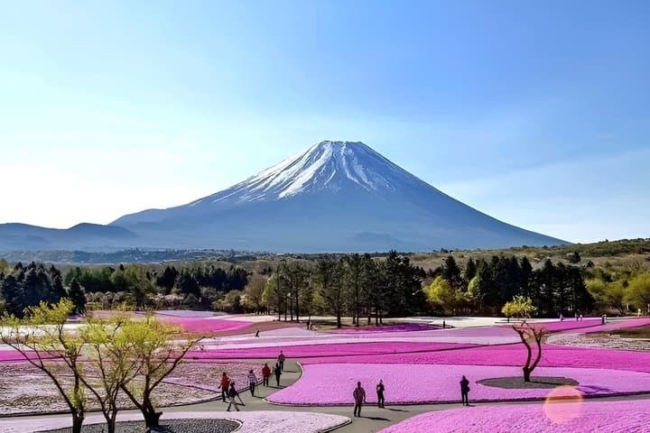 Fuji Five Lakes Guided Day Trip — photo 3