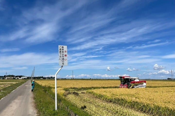 Green Field Trail and Onigiri Picnic with Local Farmer — photo 7