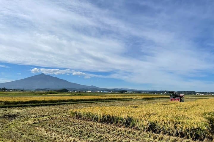 Green Field Trail and Onigiri Picnic with Local Farmer — photo 5