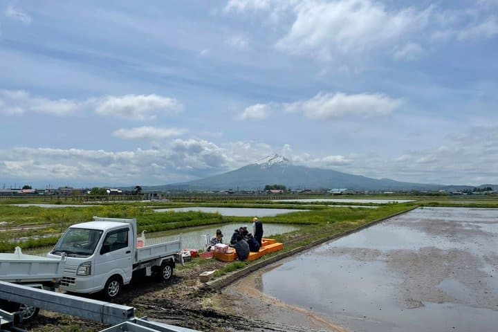 Green Field Trail and Onigiri Picnic with Local Farmer — photo 3