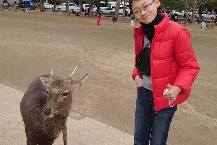 Kyoto and Nara Private 10 Hour Tour from Osaka — photo 19