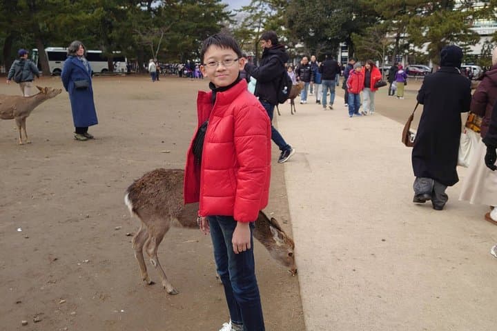 Kyoto and Nara Private 10 Hour Tour from Osaka — photo 20