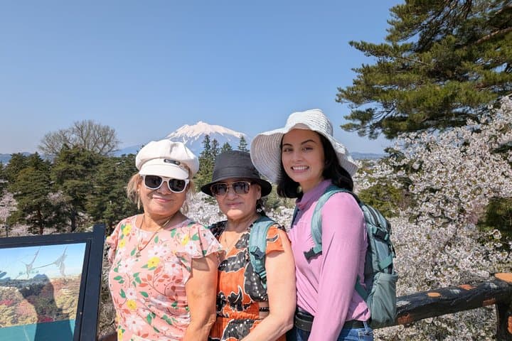 Private Cherry Blossom Tour in Hirosaki with a Local Guide