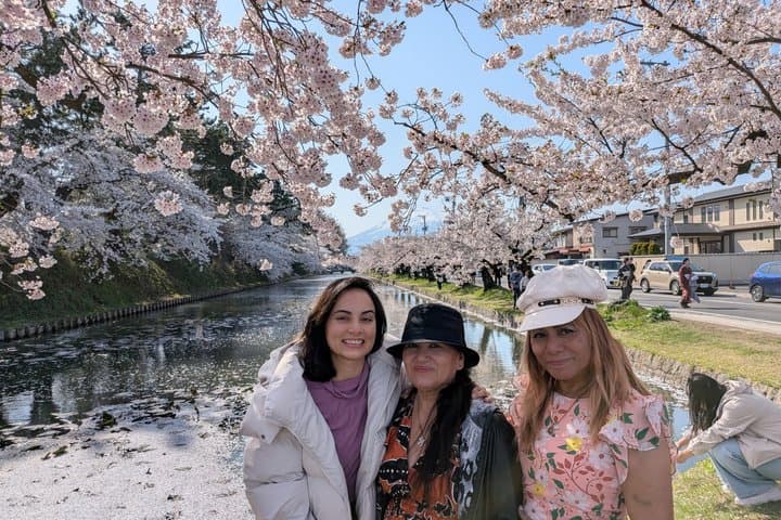 Private Cherry Blossom Tour in Hirosaki with a Local Guide — photo 7