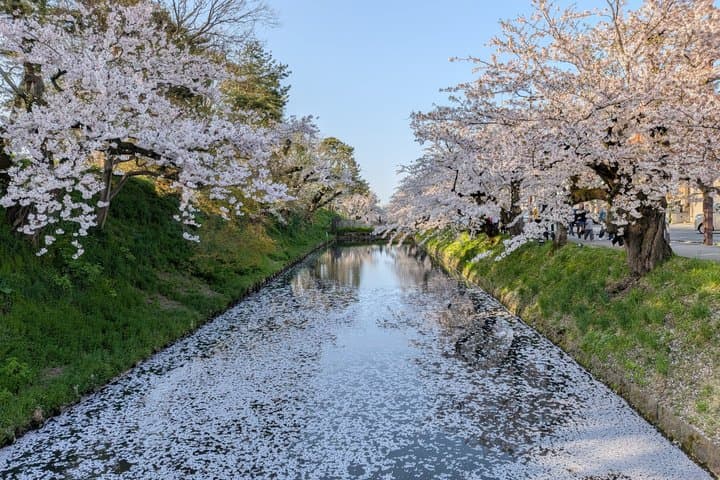 Private Cherry Blossom Tour in Hirosaki with a Local Guide — photo 19