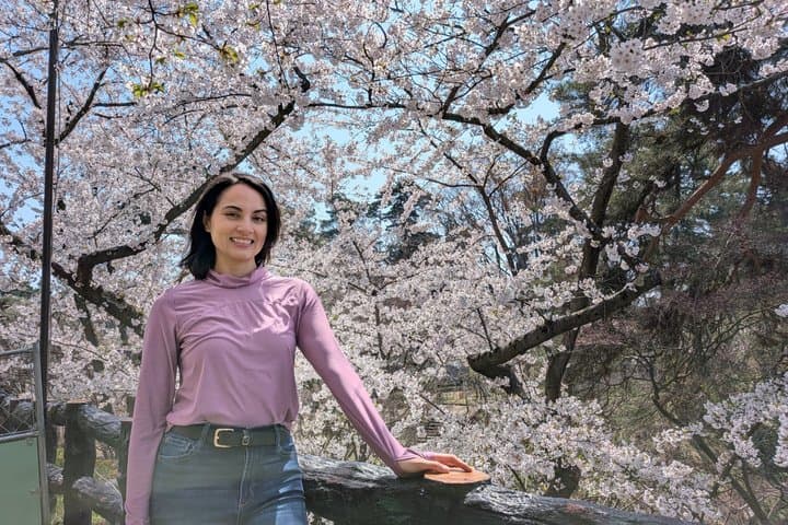Private Cherry Blossom Tour in Hirosaki with a Local Guide — photo 2