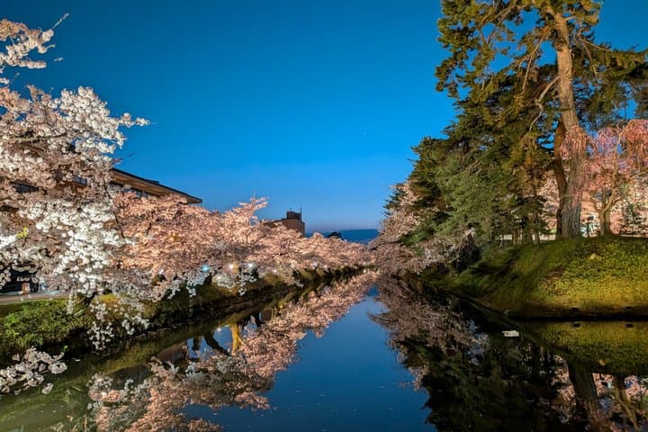 Private Cherry Blossom Tour in Hirosaki with a Local Guide — photo 20