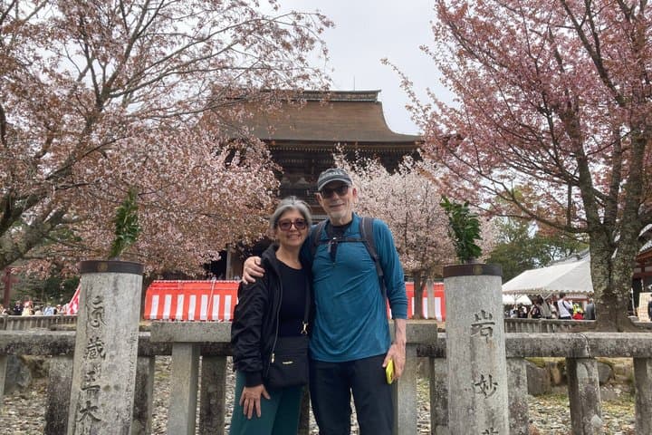 Historic and Natural Guided Hike in Yoshino — photo 18