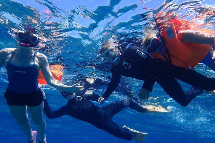 Naha Okinawa Blu：Full Day trip to Hidden Islands by Catamaran — photo 2