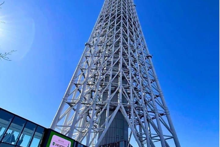 Tokyo Private Tour with English Guide in Luxury Vehicle — photo 15