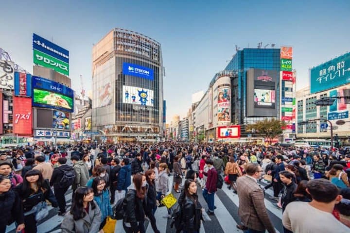 Tokyo Private Tour with English Guide in Luxury Vehicle — photo 6