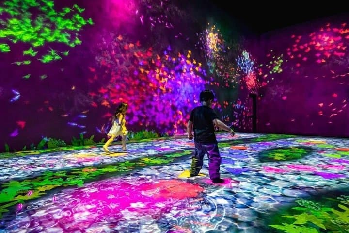 Tokyo TeamLab Borderless Admission and Subway Pass — photo 4