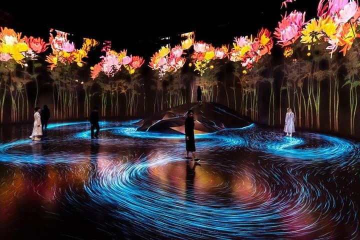 Tokyo TeamLab Borderless Admission and Subway Pass — photo 3