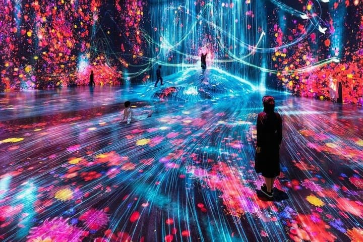Tokyo TeamLab Borderless Admission and Subway Pass — photo 2
