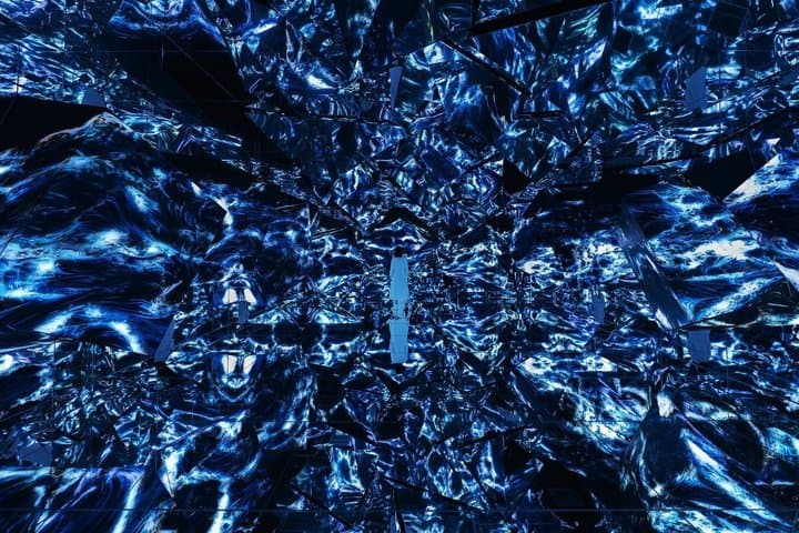 Tokyo TeamLab Borderless Admission and Subway Pass — photo 9