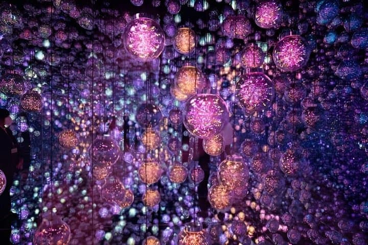 Tokyo TeamLab Borderless Admission and Subway Pass — photo 7