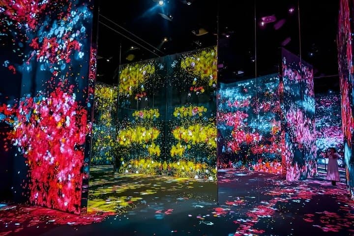 Tokyo TeamLab Borderless Admission and Subway Pass — photo 8