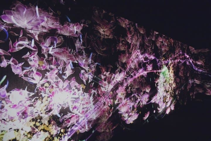 Tokyo TeamLab Borderless Admission and Subway Pass — photo 10