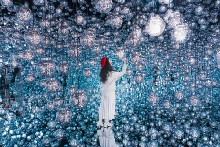 Tokyo TeamLab Borderless Admission and Subway Pass — photo 11