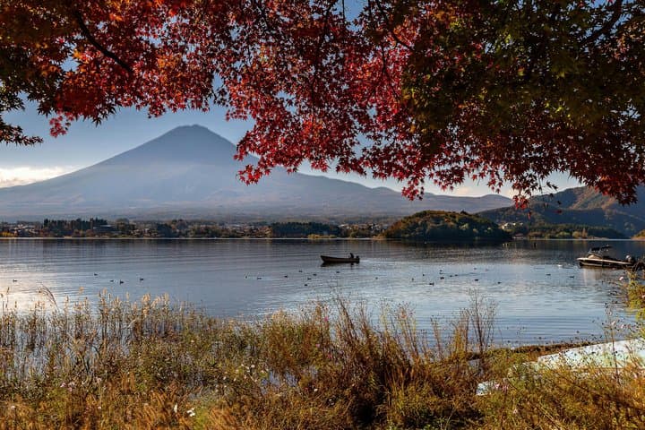 Mount Fuji & Momiji Season: Kamakura, Big Buddha and Lake Ashi — photo 12