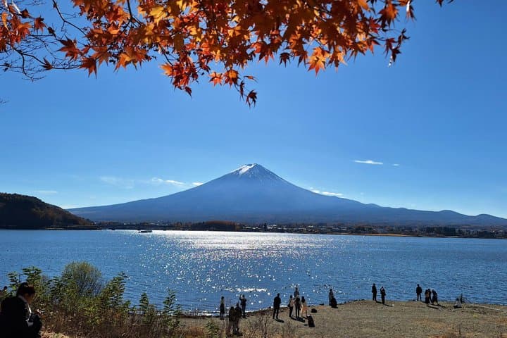 Mount Fuji & Momiji Season: Kamakura, Big Buddha and Lake Ashi — photo 13