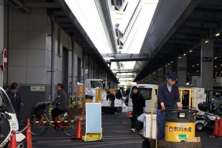Toyosu Market Tuna Auction & Tsukiji Tour With Former Sushi Chef — photo 9