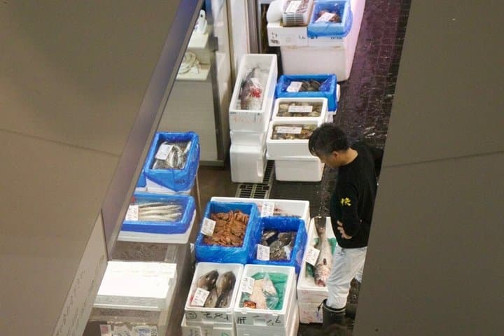 Toyosu Market Tuna Auction & Tsukiji Tour With Former Sushi Chef — photo 4