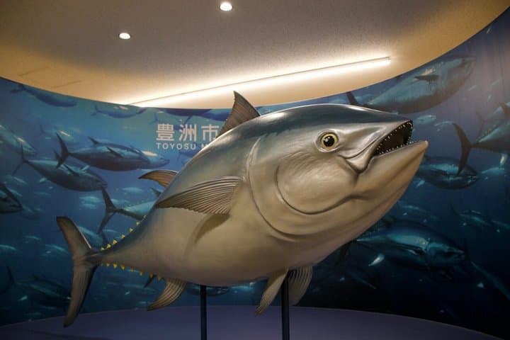 Toyosu Market Tuna Auction & Tsukiji Tour With Former Sushi Chef — photo 8