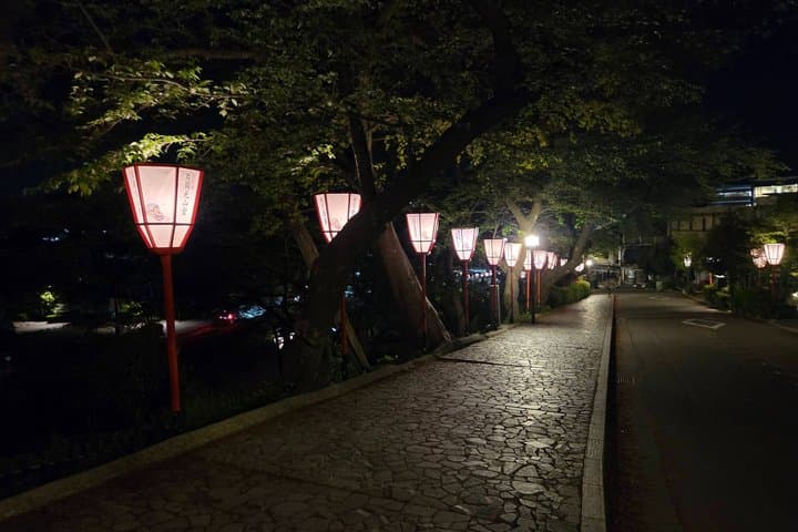 Kanazawa Night Tour Castle Samurai District and Optional Dinner — photo 13
