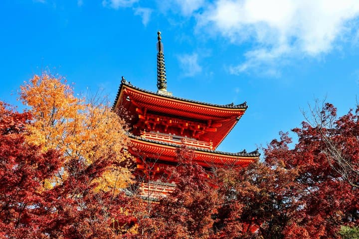 Nikko & Momiji Season: Kegon Falls with Chuzenji and Toshogu — photo 8
