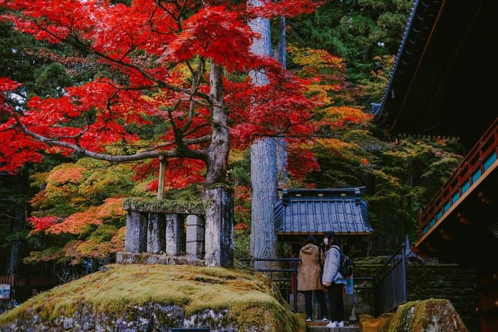 Nikko & Momiji Season: Kegon Falls with Chuzenji and Toshogu — photo 9