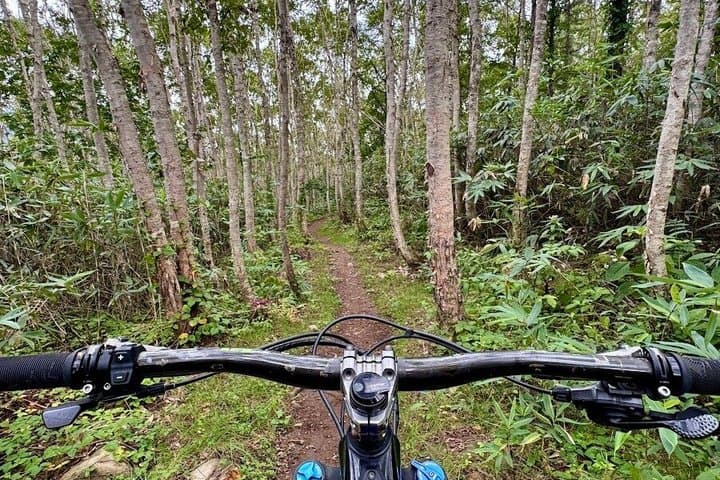 Osaka Japan E MTB Tour: Katsuo-ji temple & Pilgrimage Trails — photo 8