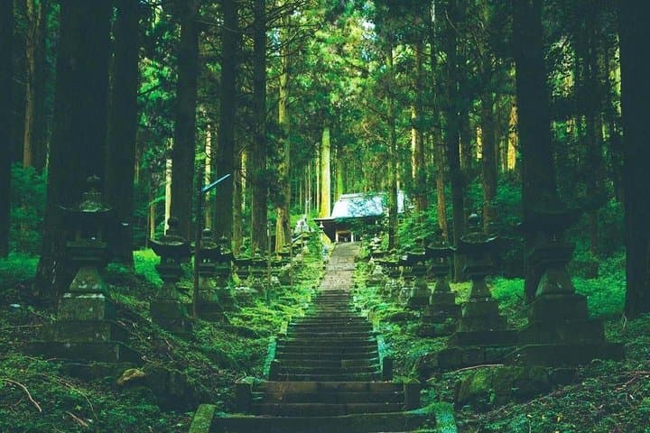 Day Tour to Miyazaki Takachiho Gorge & Shrine depart from Fukuoka — photo 12