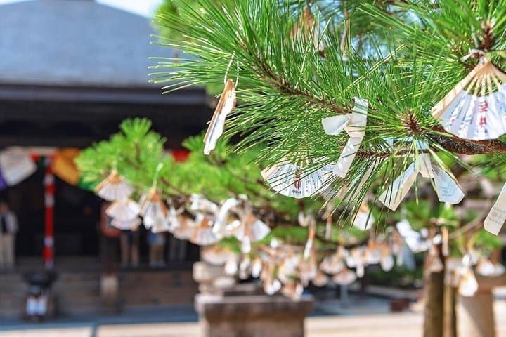 Amanohashidate and Ine Boathouses Day Trip from Kyoto and Osaka — photo 19