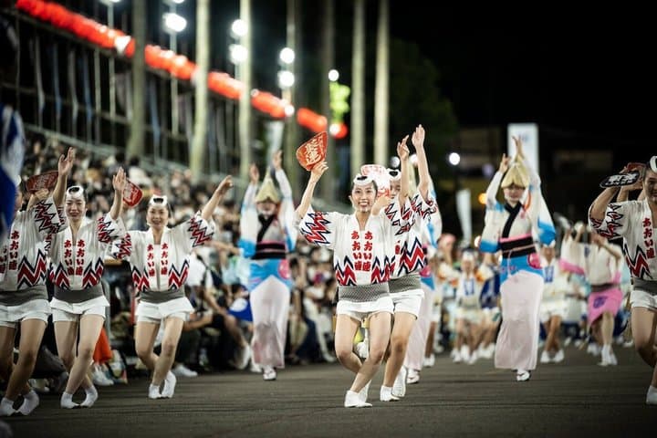 Awa Odori Cultural Ticket Pass in Tokushima — photo 5