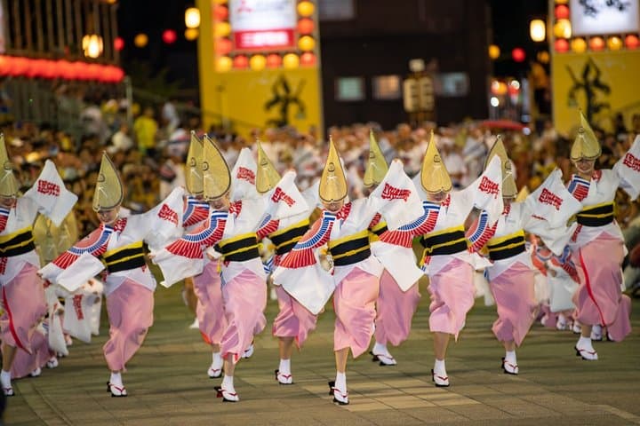 Awa Odori Cultural Ticket Pass in Tokushima — photo 6