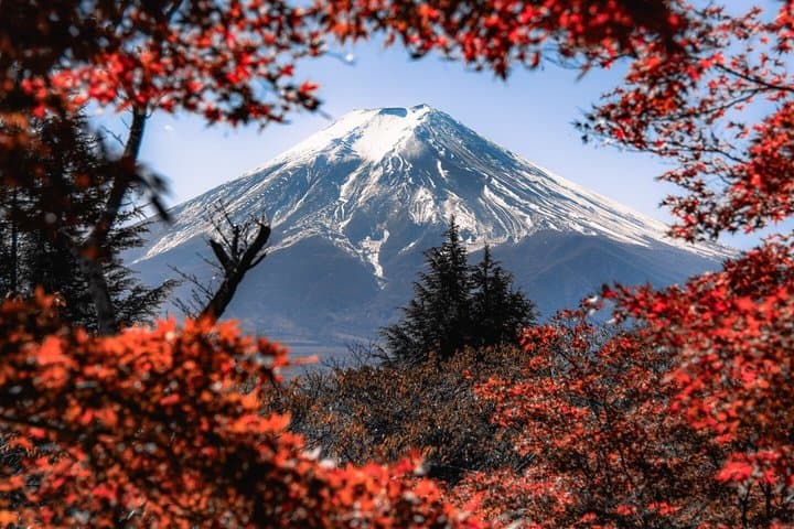 Private Mt Fuji 5th Station & Shiraito Falls Day Tour from Tokyo — photo 9