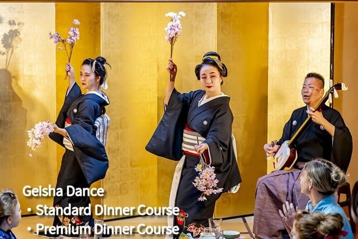 TOKYO:Traditional Geisha Show&(Japanese Dinner or tea ceremony) — photo 3